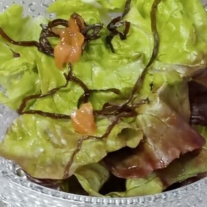 簡単＊サニーレタスの梅干し・塩昆布和え